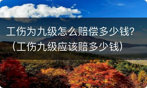 工伤为九级怎么赔偿多少钱？（工伤九级应该赔多少钱）