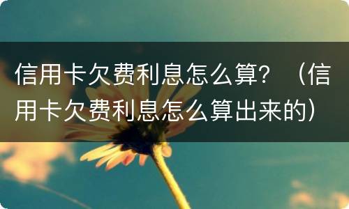 信用卡欠费利息怎么算？（信用卡欠费利息怎么算出来的）