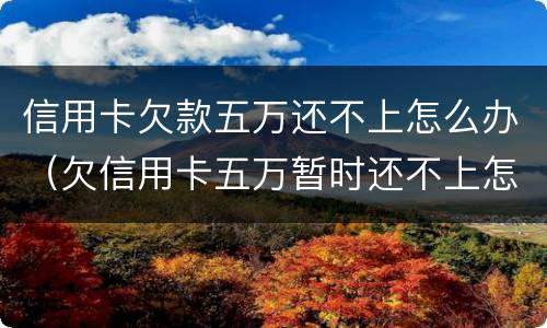 信用卡欠款五万还不上怎么办（欠信用卡五万暂时还不上怎么办）