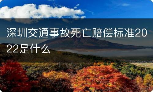 深圳交通事故死亡赔偿标准2022是什么