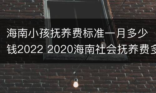 海南小孩抚养费标准一月多少钱2022 2020海南社会抚养费多少钱
