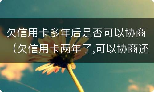欠信用卡多年后是否可以协商（欠信用卡两年了,可以协商还款吗）