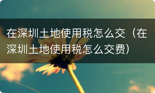 在深圳土地使用税怎么交（在深圳土地使用税怎么交费）