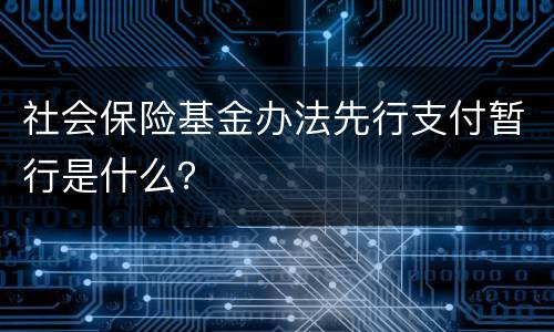 社会保险基金办法先行支付暂行是什么？