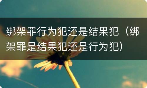 绑架罪行为犯还是结果犯（绑架罪是结果犯还是行为犯）