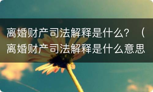 离婚财产司法解释是什么？（离婚财产司法解释是什么意思）