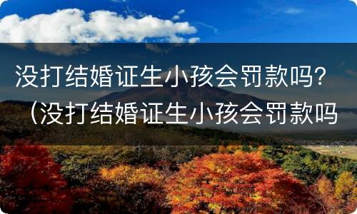 没打结婚证生小孩会罚款吗？（没打结婚证生小孩会罚款吗知乎）