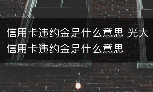 信用卡违约金是什么意思 光大信用卡违约金是什么意思