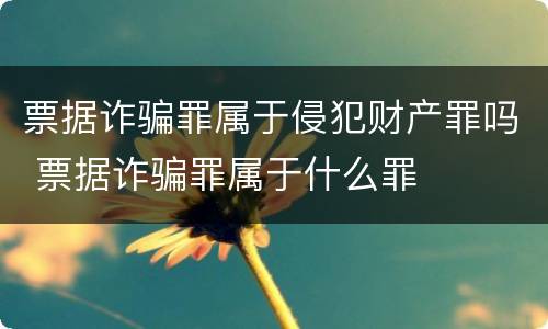 票据诈骗罪属于侵犯财产罪吗 票据诈骗罪属于什么罪