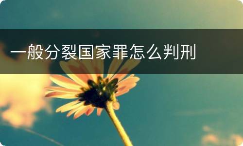 一般分裂国家罪怎么判刑