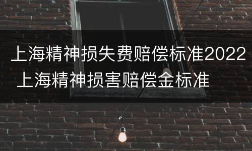 上海精神损失费赔偿标准2022 上海精神损害赔偿金标准