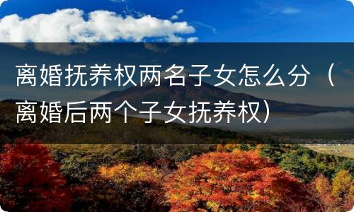 离婚抚养权两名子女怎么分（离婚后两个子女抚养权）