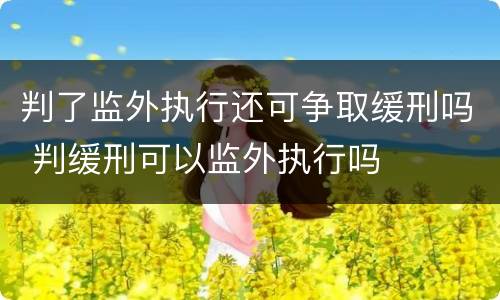 判了监外执行还可争取缓刑吗 判缓刑可以监外执行吗