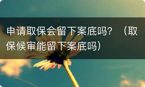 申请取保会留下案底吗？（取保候审能留下案底吗）