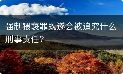 强制猥亵罪既遂会被追究什么刑事责任?