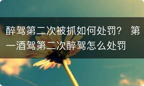 醉驾第二次被抓如何处罚？ 第一酒驾第二次醉驾怎么处罚