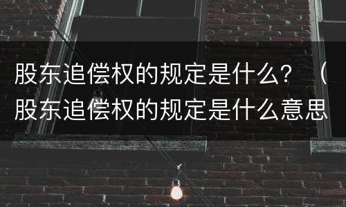 股东追偿权的规定是什么？（股东追偿权的规定是什么意思）