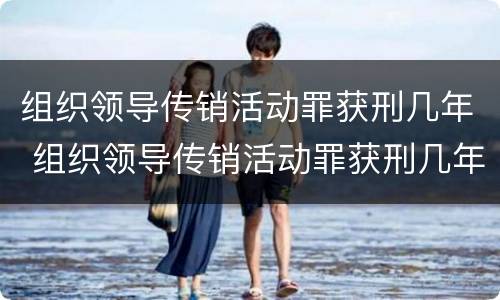 组织领导传销活动罪获刑几年 组织领导传销活动罪获刑几年了