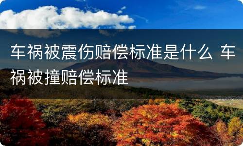 车祸被震伤赔偿标准是什么 车祸被撞赔偿标准