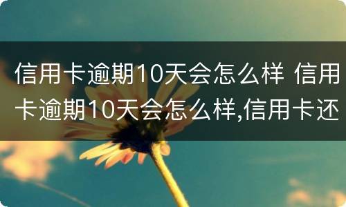 信用卡逾期10天会怎么样 信用卡逾期10天会怎么样,信用卡还能用吗