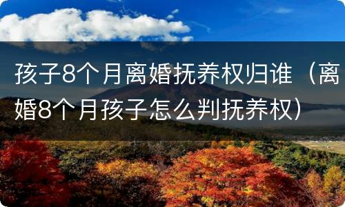 孩子8个月离婚抚养权归谁（离婚8个月孩子怎么判抚养权）