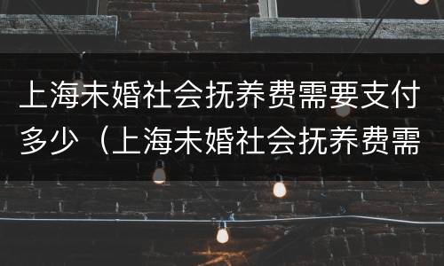 上海未婚社会抚养费需要支付多少（上海未婚社会抚养费需要支付多少费用）