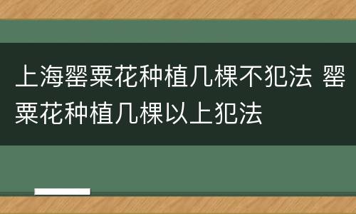 上海罂粟花种植几棵不犯法 罂粟花种植几棵以上犯法