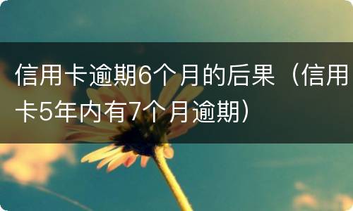 信用卡逾期6个月的后果（信用卡5年内有7个月逾期）