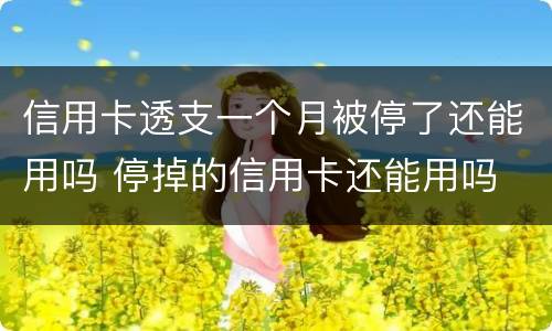 信用卡透支一个月被停了还能用吗 停掉的信用卡还能用吗
