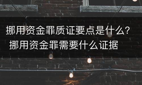 挪用资金罪质证要点是什么？ 挪用资金罪需要什么证据