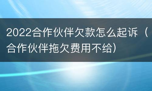 2022合作伙伴欠款怎么起诉（合作伙伴拖欠费用不给）