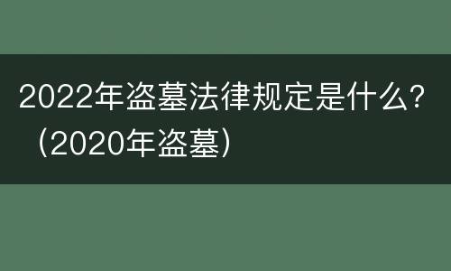 2022年盗墓法律规定是什么？（2020年盗墓）