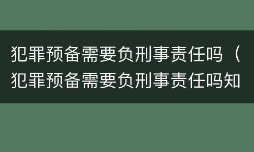 犯罪预备需要负刑事责任吗（犯罪预备需要负刑事责任吗知乎）