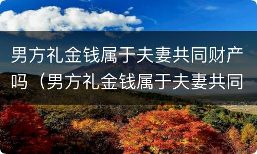男方礼金钱属于夫妻共同财产吗（男方礼金钱属于夫妻共同财产吗）