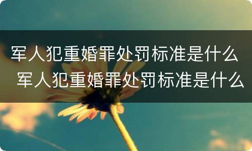 军人犯重婚罪处罚标准是什么 军人犯重婚罪处罚标准是什么规定