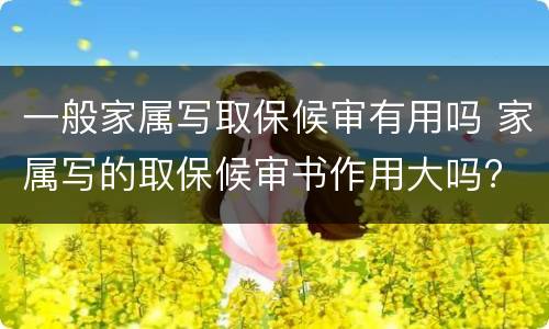 一般家属写取保候审有用吗 家属写的取保候审书作用大吗?