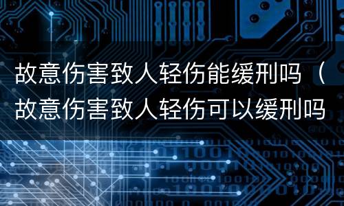 故意伤害致人轻伤能缓刑吗（故意伤害致人轻伤可以缓刑吗）
