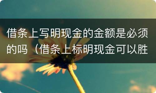 借条上写明现金的金额是必须的吗（借条上标明现金可以胜诉吗）