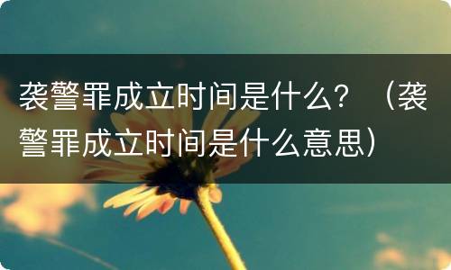 袭警罪成立时间是什么？（袭警罪成立时间是什么意思）