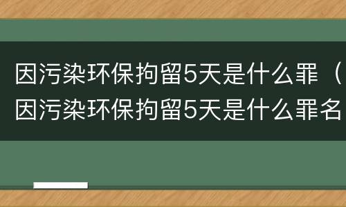 因污染环保拘留5天是什么罪（因污染环保拘留5天是什么罪名）