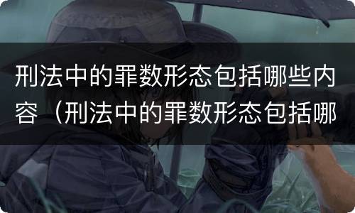 刑法中的罪数形态包括哪些内容（刑法中的罪数形态包括哪些内容和特征）