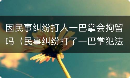 因民事纠纷打人一巴掌会拘留吗（民事纠纷打了一巴掌犯法吗）