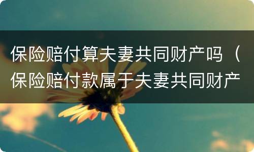 保险赔付算夫妻共同财产吗（保险赔付款属于夫妻共同财产吗）