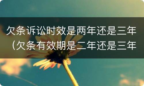 欠条诉讼时效是两年还是三年（欠条有效期是二年还是三年）