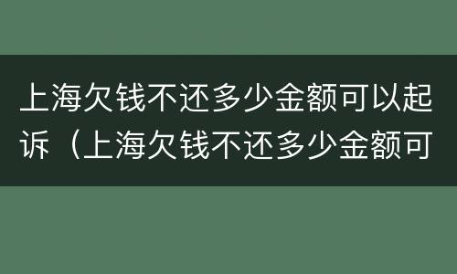 上海欠钱不还多少金额可以起诉（上海欠钱不还多少金额可以起诉对方）