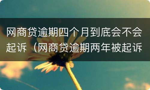 网商贷逾期四个月到底会不会起诉（网商贷逾期两年被起诉的可能性有多大）