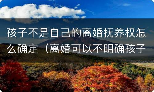 孩子不是自己的离婚抚养权怎么确定（离婚可以不明确孩子的抚养权归属吗）