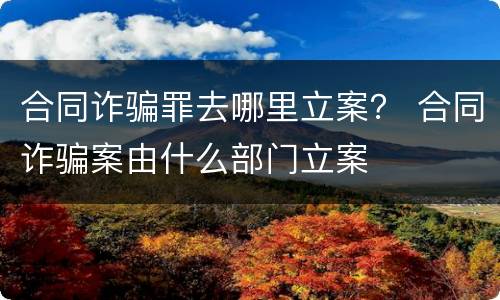 合同诈骗罪去哪里立案？ 合同诈骗案由什么部门立案