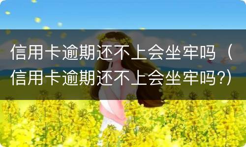 信用卡逾期还不上会坐牢吗（信用卡逾期还不上会坐牢吗?）