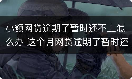 小额网贷逾期了暂时还不上怎么办 这个月网贷逾期了暂时还不上怎么办